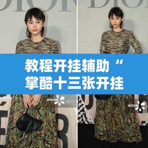 教程开挂辅助“掌酷十三张开挂神器软件下载”(透视挂)辅助透视教程