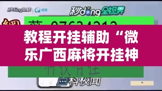 教程开挂辅助“微乐广西麻将开挂神器”(透视挂)辅助透视教程