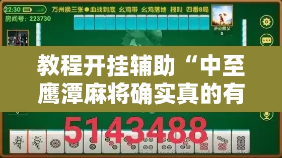 教程开挂辅助“中至鹰潭麻将确实真的有挂吗”(透视挂)辅助透视教程
