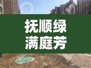 抚顺绿满庭芳疫情：抚顺绿满庭芳对口小学