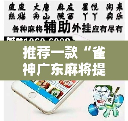 推荐一款“雀神广东麻将提高胜率技巧”(透视挂)辅助透视教程