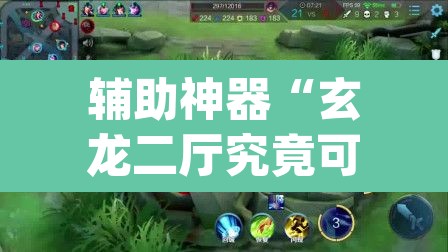 辅助神器“玄龙二厅究竟可以开挂吗”(透视挂)辅助透视教程