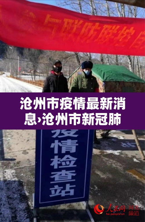 沧州市疫情最新消息›沧州市新冠肺炎疫情