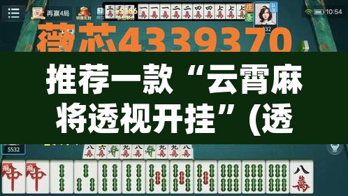 推荐一款“云霄麻将透视开挂”(透视挂)辅助透视教程