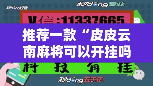 推荐一款“皮皮云南麻将可以开挂吗”(透视挂)辅助透视教程