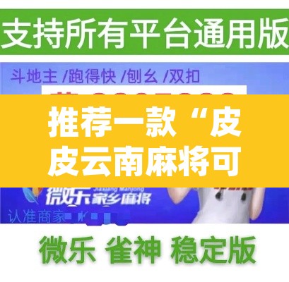推荐一款“皮皮云南麻将可以开挂吗	”(透视挂)辅助透视教程