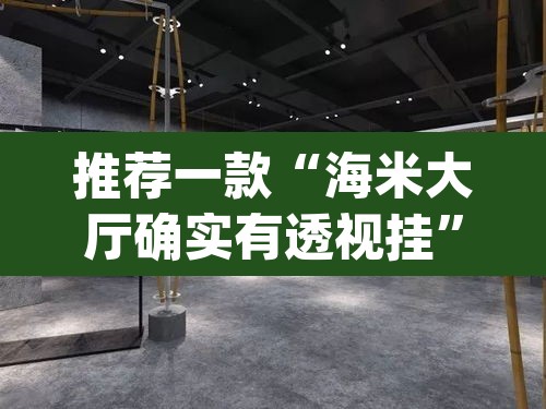 推荐一款“海米大厅确实有透视挂”(透视挂)辅助透视教程