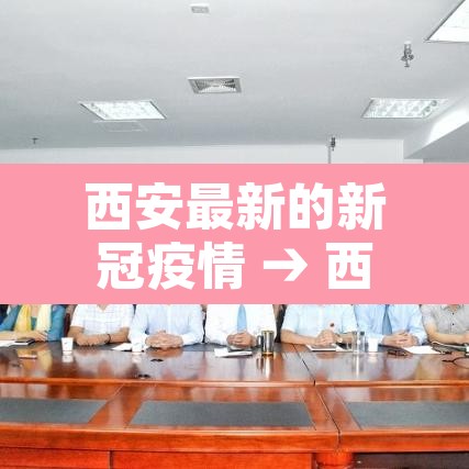西安最新的新冠疫情 → 西安最新新冠疫情报告