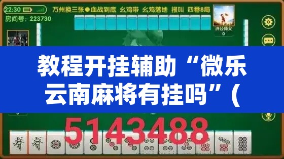 教程开挂辅助“微乐云南麻将有挂吗”(透视挂)辅助透视教程