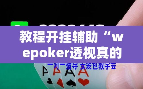 教程开挂辅助“wepoker透视真的吗”(透视挂)辅助透视教程