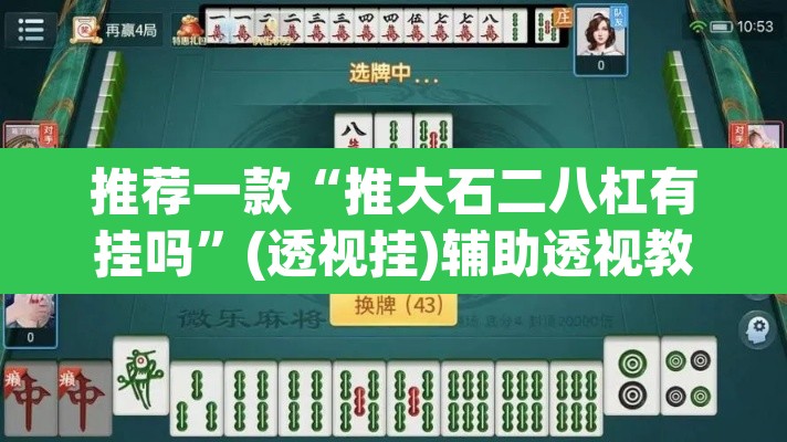 推荐一款“推大石二八杠有挂吗”(透视挂)辅助透视教程