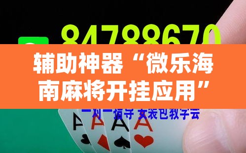 辅助神器“微乐海南麻将开挂应用”(透视挂)辅助透视教程