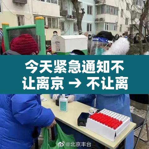 今天紧急通知不让离京 → 不让离京怎么办