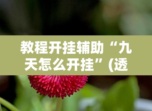 教程开挂辅助“九天怎么开挂”(透视挂)辅助透视教程