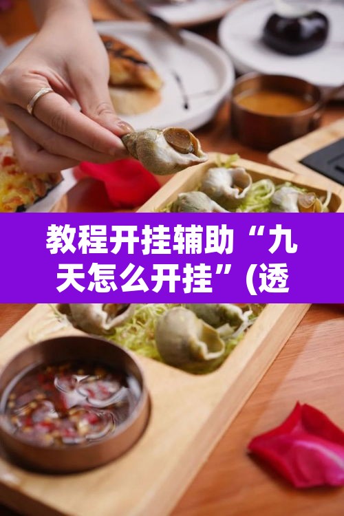 教程开挂辅助“九天怎么开挂	”(透视挂)辅助透视教程