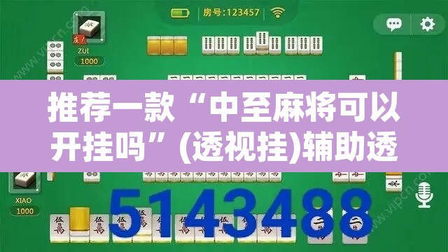 推荐一款“中至麻将可以开挂吗”(透视挂)辅助透视教程