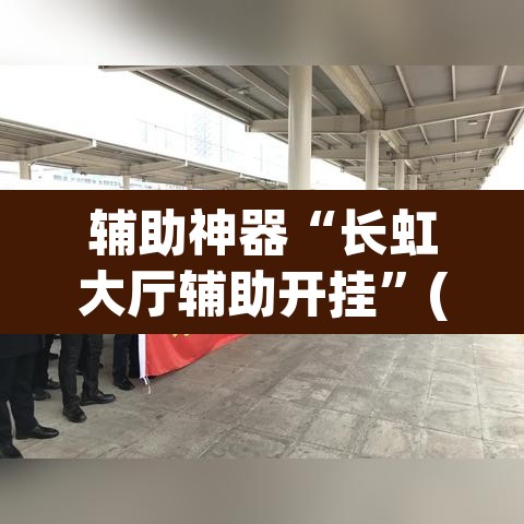 辅助神器“长虹大厅辅助开挂”(透视挂)辅助透视教程