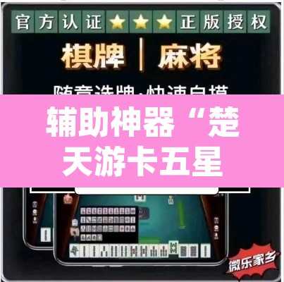辅助神器“楚天游卡五星辅助器	”(透视挂)辅助透视教程