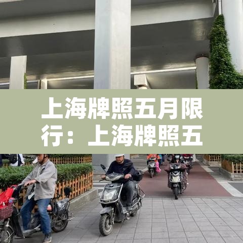上海牌照五月限行:上海牌照五月限行吗 上海牌照五月限行:上海牌照五月限行吗