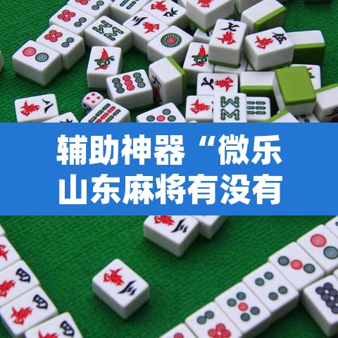 辅助神器“微乐山东麻将有没有开挂神器”(透视挂)辅助透视教程