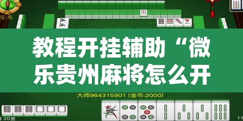 教程开挂辅助“微乐贵州麻将怎么开挂	”(透视挂)辅助透视教程