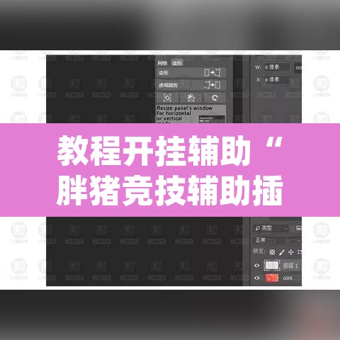 教程开挂辅助“胖猪竞技辅助插件”(透视挂)辅助透视教程