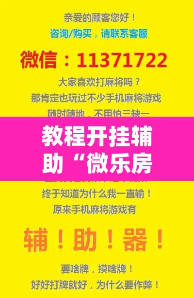 教程开挂辅助“微乐房间怎么开挂视频”(透视挂)辅助透视教程