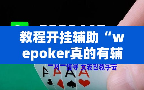 教程开挂辅助“wepoker真的有辅助吗	”(透视挂)辅助透视教程