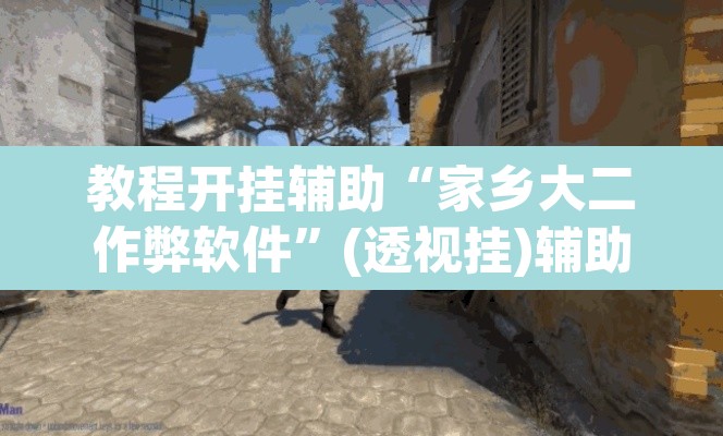 教程开挂辅助“家乡大二作弊软件	”(透视挂)辅助透视教程