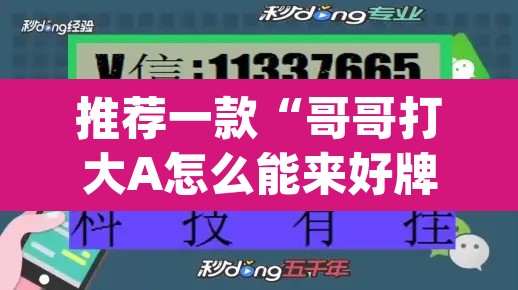 推荐一款“哥哥打大A怎么能来好牌”(透视挂)辅助透视教程