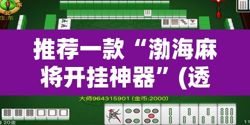 推荐一款“渤海麻将开挂神器	”(透视挂)辅助透视教程