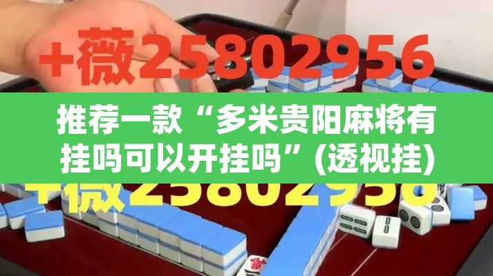 推荐一款“多米贵阳麻将有挂吗可以开挂吗	”(透视挂)辅助透视教程