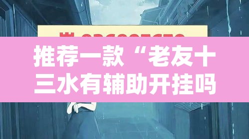 推荐一款“老友十三水有辅助开挂吗”(透视挂)辅助透视教程