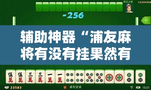 辅助神器“浦友麻将有没有挂果然有挂”(透视挂)辅助透视教程