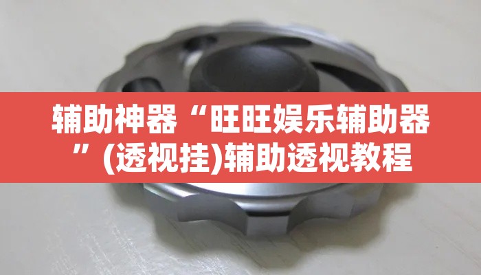 辅助神器“旺旺娱乐辅助器”(透视挂)辅助透视教程