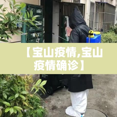 【宝山疫情,宝山疫情确诊】