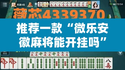 推荐一款“微乐安徽麻将能开挂吗	”(透视挂)辅助透视教程
