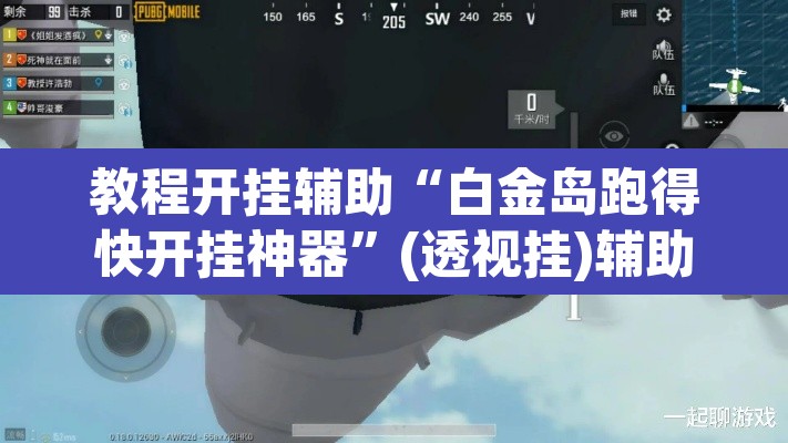 教程开挂辅助“白金岛跑得快开挂神器	”(透视挂)辅助透视教程
