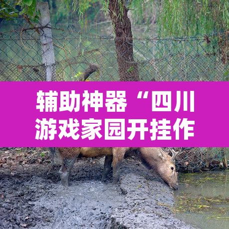 辅助神器“四川游戏家园开挂作弊”(透视挂)辅助透视教程