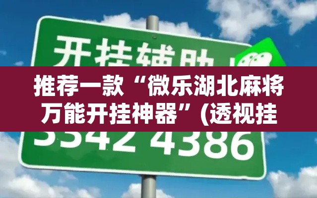 辅助神器“微乐山东麻将万能开挂器	”(透视挂)辅助透视教程