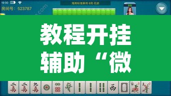 教程开挂辅助“微乐海南麻将小程序必赢神器”(透视挂)辅助透视教程