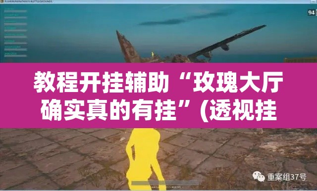 教程开挂辅助“玫瑰大厅确实真的有挂”(透视挂)辅助透视教程