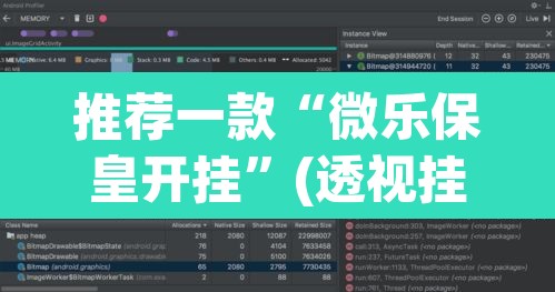 推荐一款“微乐保皇开挂”(透视挂)辅助透视教程