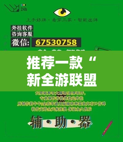 推荐一款“新全游联盟是不是有挂”(透视挂)辅助透视教程