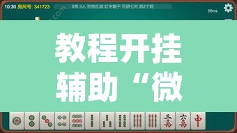 教程开挂辅助“微乐湖南麻将怎么开免费的挂”(透视挂)辅助透视教程