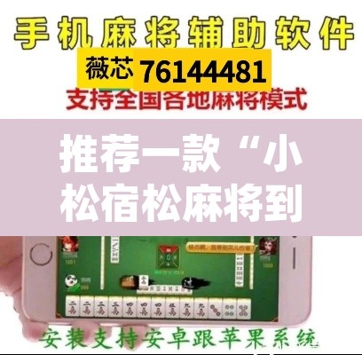 推荐一款“小松宿松麻将到底有挂吗”(透视挂)辅助透视教程