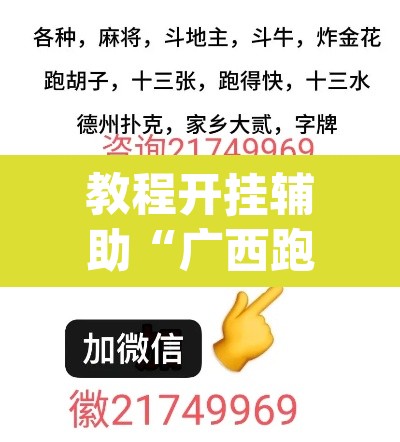 教程开挂辅助“广西跑胡子透视挂”(透视挂)辅助透视教程