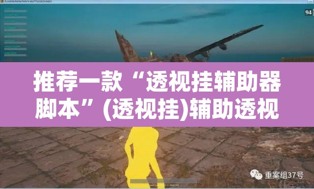 推荐一款“透视挂辅助器脚本”(透视挂)辅助透视教程