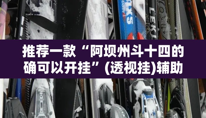 推荐一款“阿坝州斗十四的确可以开挂”(透视挂)辅助透视教程