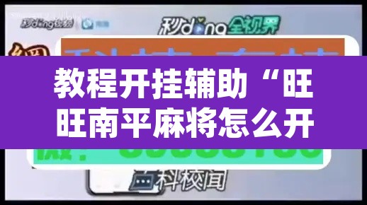 教程开挂辅助“旺旺南平麻将怎么开挂”(透视挂)辅助透视教程